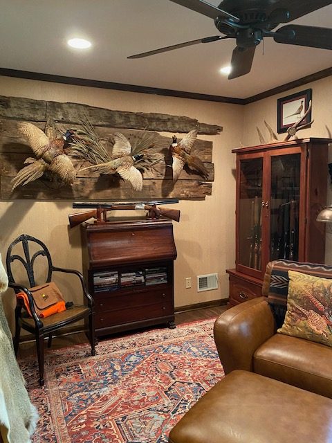 Den Makeover Lake Murray